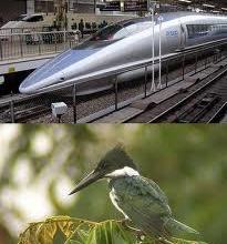 Kingfisher models for train