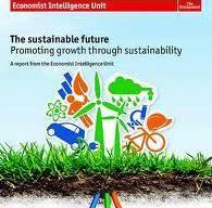 Sutainable future